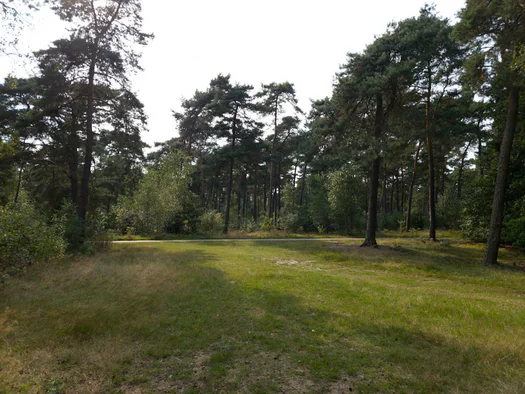 De Hoge Rielen, Kasterlee (Belgium)